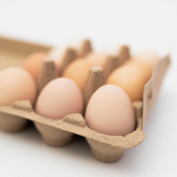 Farm-Fresh Eggs - Image 2